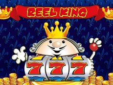 Reel King slot novomatic greentube